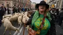Seorang gembala berteriak saat menggembala sekawanan domba melalui pusat kota Madrid, Spanyol, Minggu  (23/10/2022). Hanya beberapa abad yang lalu, rute itu akan membawa mereka melalui pedesaan yang tenang, tetapi hari ini mereka melintasi beberapa area tersibuk di kota, termasuk Plaza Mayor, alun-alun utama Madrid.  (AP Photo/Paul White)