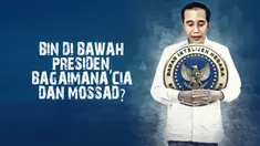 thumbnail BIN di bawah presiden