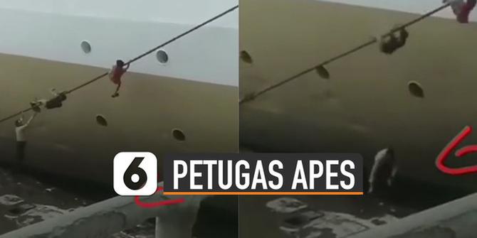 VIDEO: Apes, Petugas Nyemplung Laut Ketika Ingatkan Buruh Ilegal