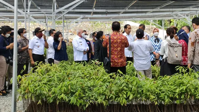 Presiden Joko Widodo (Jokowi)
