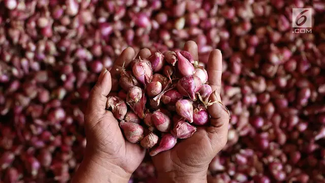 Harga Bawang di Pasar Kramat Jati