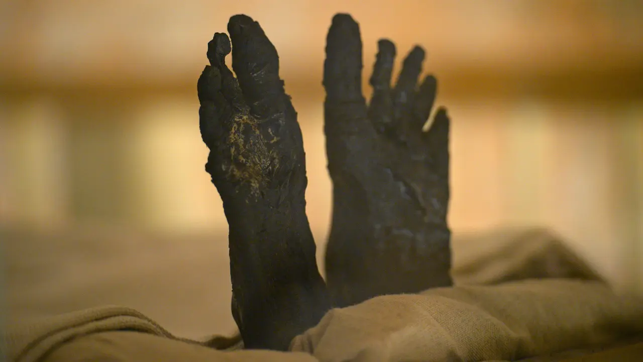 Melihat dari Dekat Mumi Firaun Tutankhamun