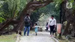 Pengunjung berjalan di Kawasan Ekowisata Mangrove PIK, Jakarta, Rabu (2/8/2023). Kawasan Ekowisata Mangrove PIK memiliki luas 95,50 hektare. (Liputan6.com/Herman Zakharia)
