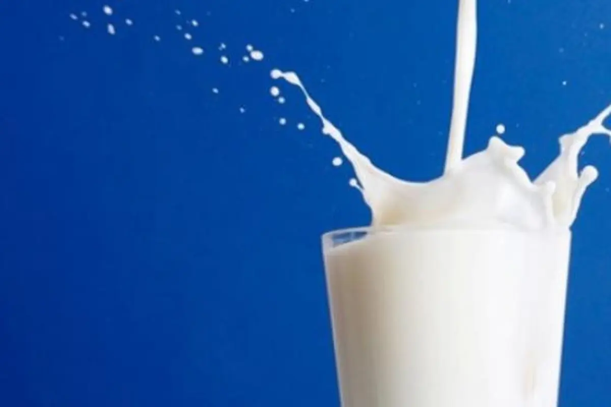 Susu Murni
