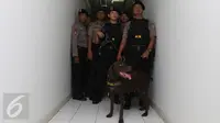 Cerita Komjen Buwas Soal Sulitnya Cari Anjing Pelacak