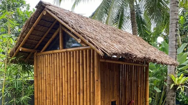 Desain Kandang Ayam Tanpa Terlihat Kumuh