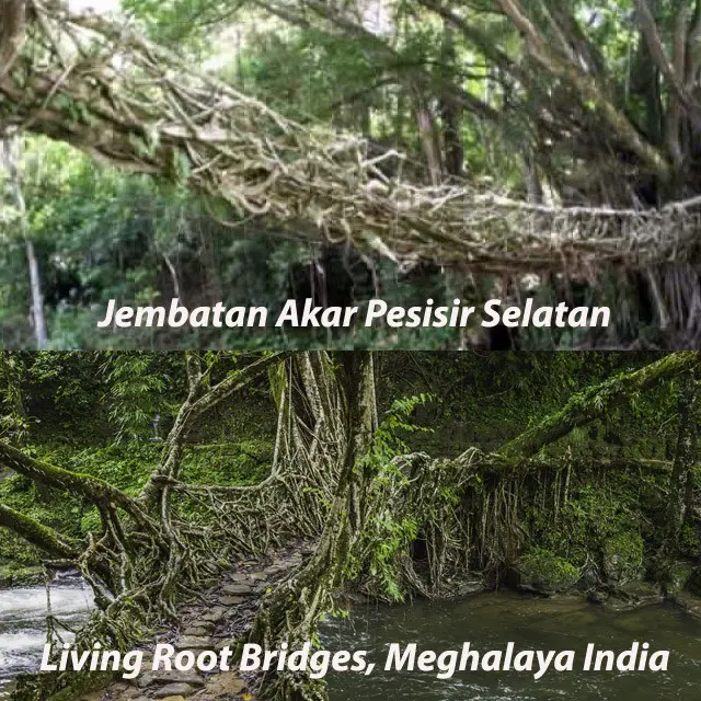 Jembatan Akar