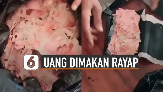 Nasib apes dialami orang ini ketika melihat uangnya yang disimpan sudah tidak berbentuk dimakan rayap.