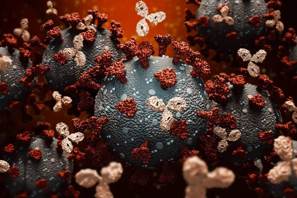 Antibodi Adalah Protein dari Sistem Kekebalan Tubuh, Pahami Jenis dan Cara Kerjanya
