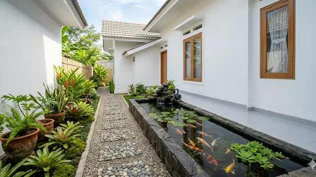 Inspirasi Model Kolam Ikan Memanjang di Samping Rumah Subsidi yang Menenangkan. Gemini