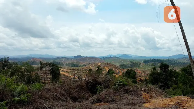Perusahaan Sawit