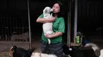 Susana Somali membawa seekor anjing yang disebut 'Putih' di Pejaten Shelter, rumah bagi lebih dari 1.400 anjing yang ia pelihara, di Jakarta, Kamis (2/7/2020). Jumlah anjing di penampungan telah meningkat sejak wabah COVID-19 dimulai di Indonesia. (AP Photo/Dita Alangkara)