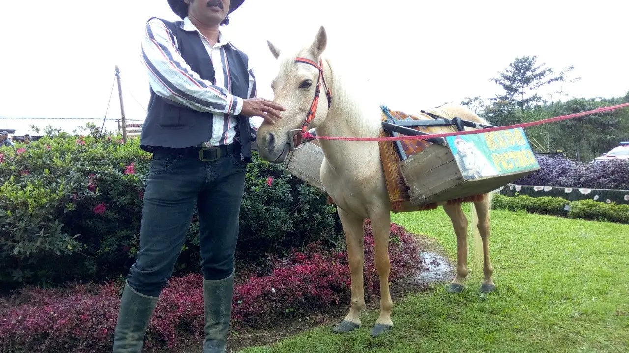 Ridwan, sang penghela kuda pustaka. (Foto: Liputan6.com.Rudal Afgani)