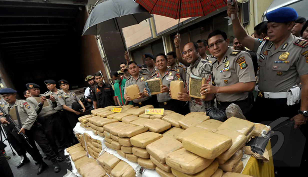 Sejumlah petugas kepolisian memperlihatkan barang bukti narkoba jenis ganja, Jakarta, Jumat (13/2/2015). Satuan Narkoba Polres Metro Jakarta Barat berhasil mengungkap jaringan peredaran ganja lintas Sumatera ke Jakarta. (Liputan6.com/Faizal Fanani)
