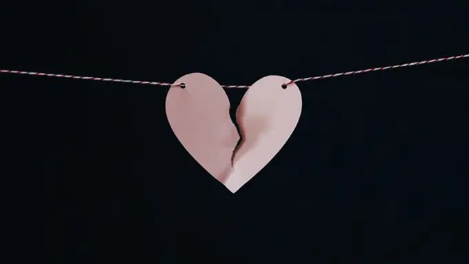 Copyright: unsplash/kelly sikemma