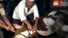 liputan6