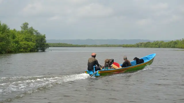 Wilayah Kampung Laut Cilacap berada di kawasan Laguna Segara Anakan yang hanya bisa diakses dengan perahu. (Foto: Liputan6.com/Muhamad Ridlo)