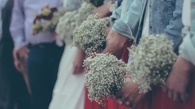 copyright pexels.com