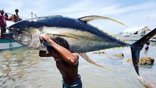 6 Potret Pemancing Dapat Ikan Lebih Besar Dari Tubuhnya Ini Bikin Melongo Hot Liputan6 Com