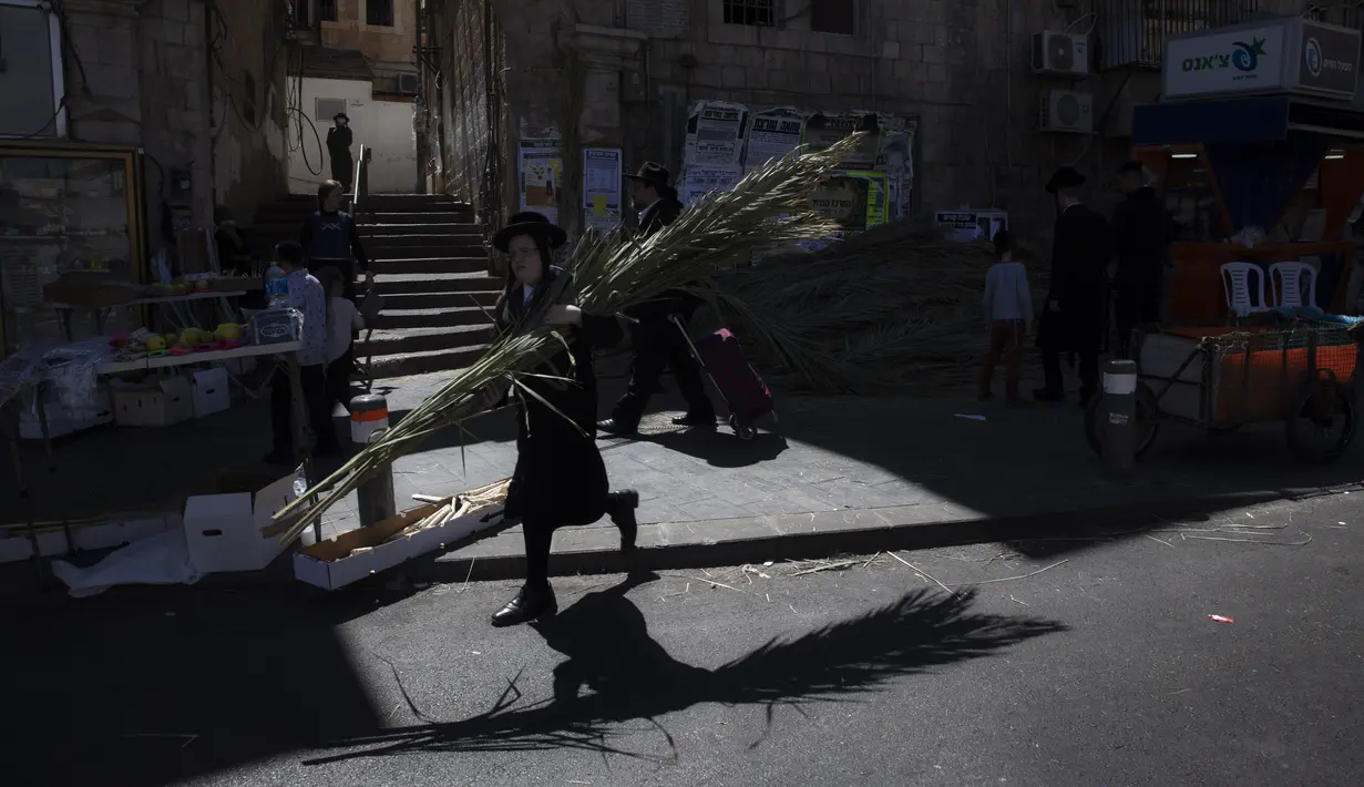 Seorang pria Yahudi membawa daun palem yang akan digunakan untuk membangun Sukkah, bangunan sementara yang dibangun untuk Hari Raya Sukkot, di Yerusalem, 19 September 2021. (AP Photo/Sebastian Scheiner)