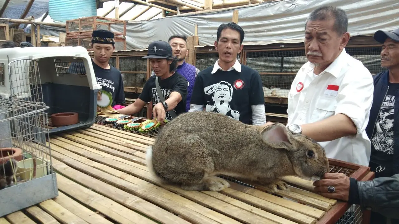 Calon gubernur Jawa Barat nomor urut 4 Deddy Mizwar. (Tim Media Demiz/Huyogo Simbolon)