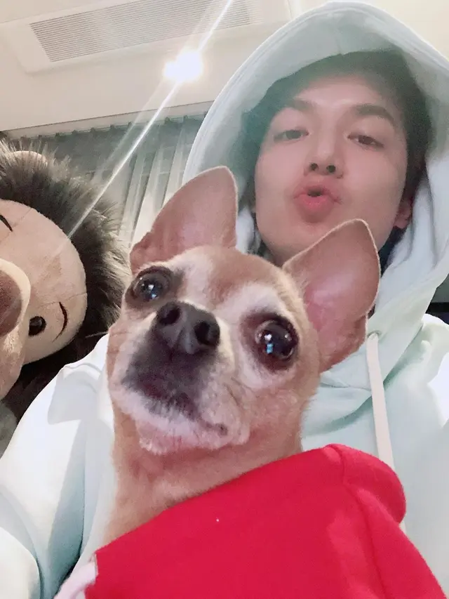 Lee Min Ho. (Instagram/ actorleeminho)
