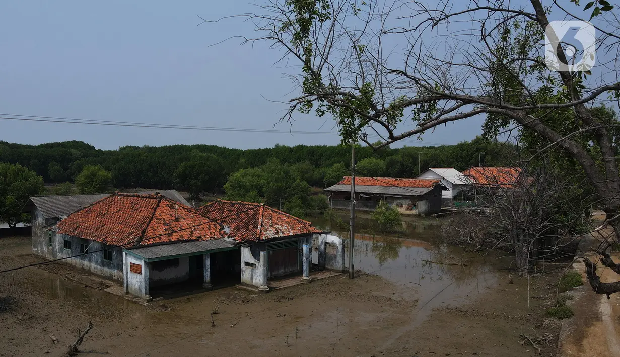 Saat ini hanya tersisa 300 KK yang masih bertahan di tengah gempuran ombak dan kenaikan muka air laut. (merdeka.com/imam buhori)