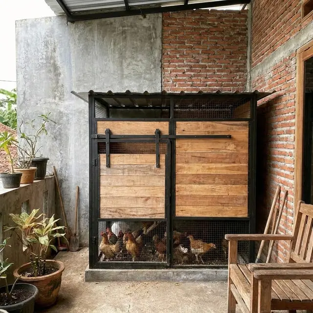 Kandang Ayam Kate Estetik di Teras