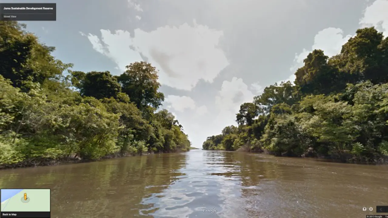 Yuk, Jelajahi Hutan Amazon di Google Street View