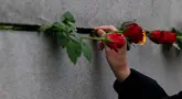 Seorang pria meletakkan bunga mawar di dinding saat memperingati runtuhnya Tembok Berlin di bekas garis perbatasan antara Berlin Timur dan Barat, di Bernauer Strasse, 9 November 2023. (Odd ANDERSEN/AFP)