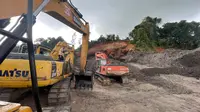 Nasib Orang Utan Kalimantan, Regulasi Konservasi di Tambang Ternyata Belum Ada