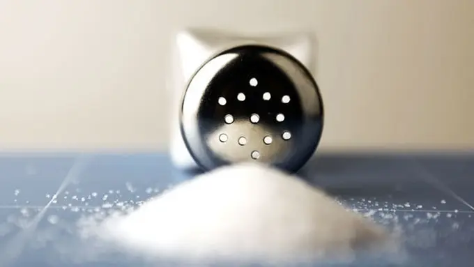 Courtesy ShutterStock.com