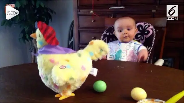 Tingkah polah lucu seorang anak balita terekam oleh kamera mendadak dan viral di jagat maya. Ia terkejut ketika melihat mainan ayamnya bisa mengeluarkan telur.