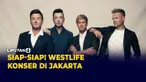 vertical westlife