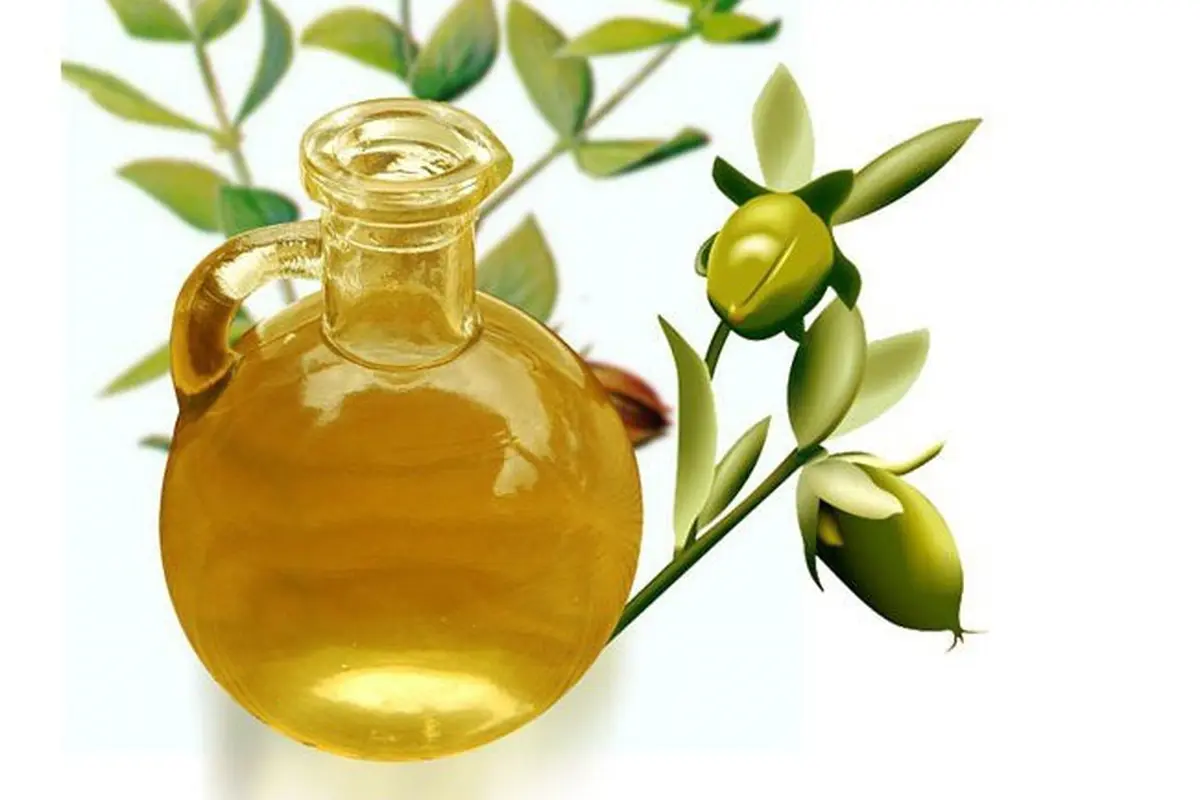 minyak jojoba