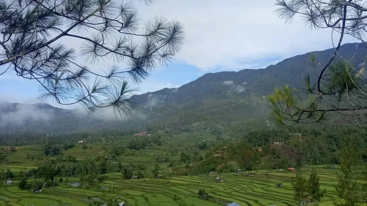 Tondok Bakar (Abdul Rajab Umar/Liputan6.com)