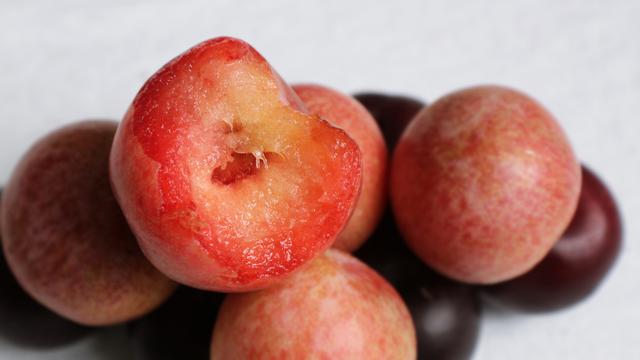 Buah Plum