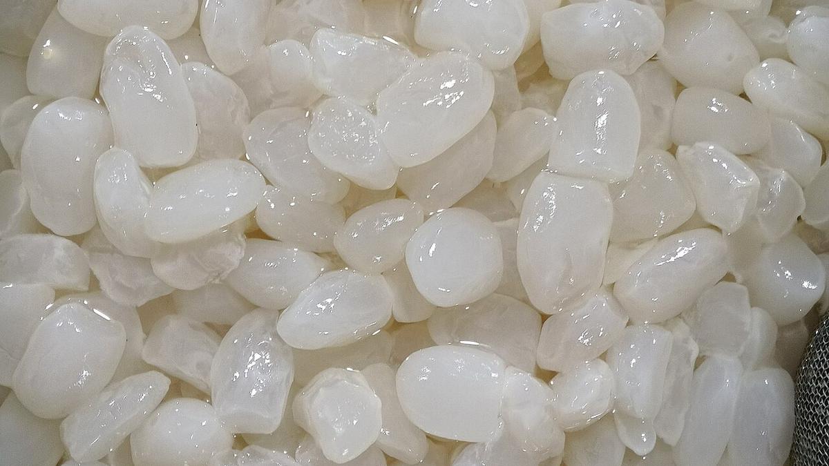 Cara Menyimpan Kolang Kaling di Kulkas Agar Tahan Lama dan Tidak Berlendir