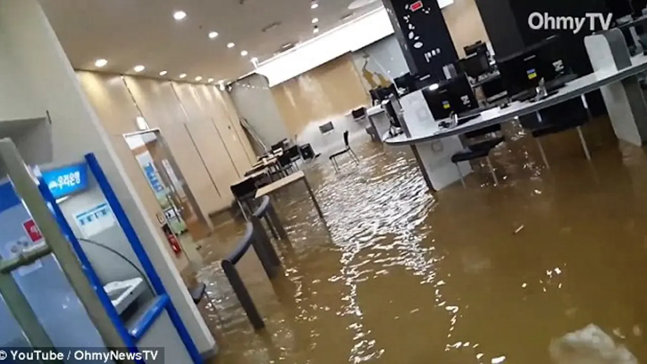 Ruangan perpustakaan sebuah kampus di Korea Selatan yang kebanjiran. (Daily Mail)
