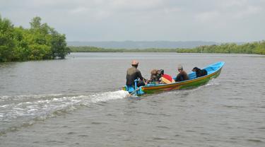Sebuah perahu jukung melintas di kawasan mangrove, Laguna Segara Anakan, Cilacap, Jawa Tengah. Foto: Liputan6.com/Muhamad Ridlo)