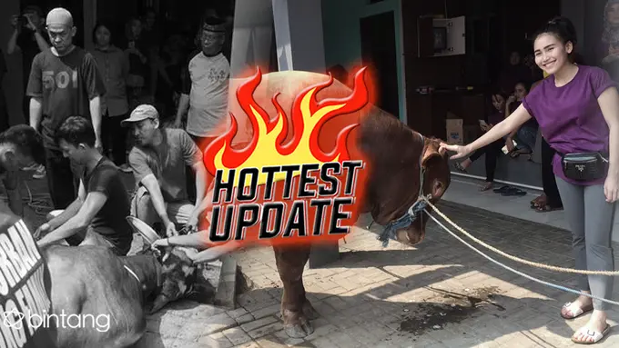 [bintang] HL Hottest Update Ayu Ting Ting