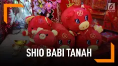 Fakta Shio Babi Tanah