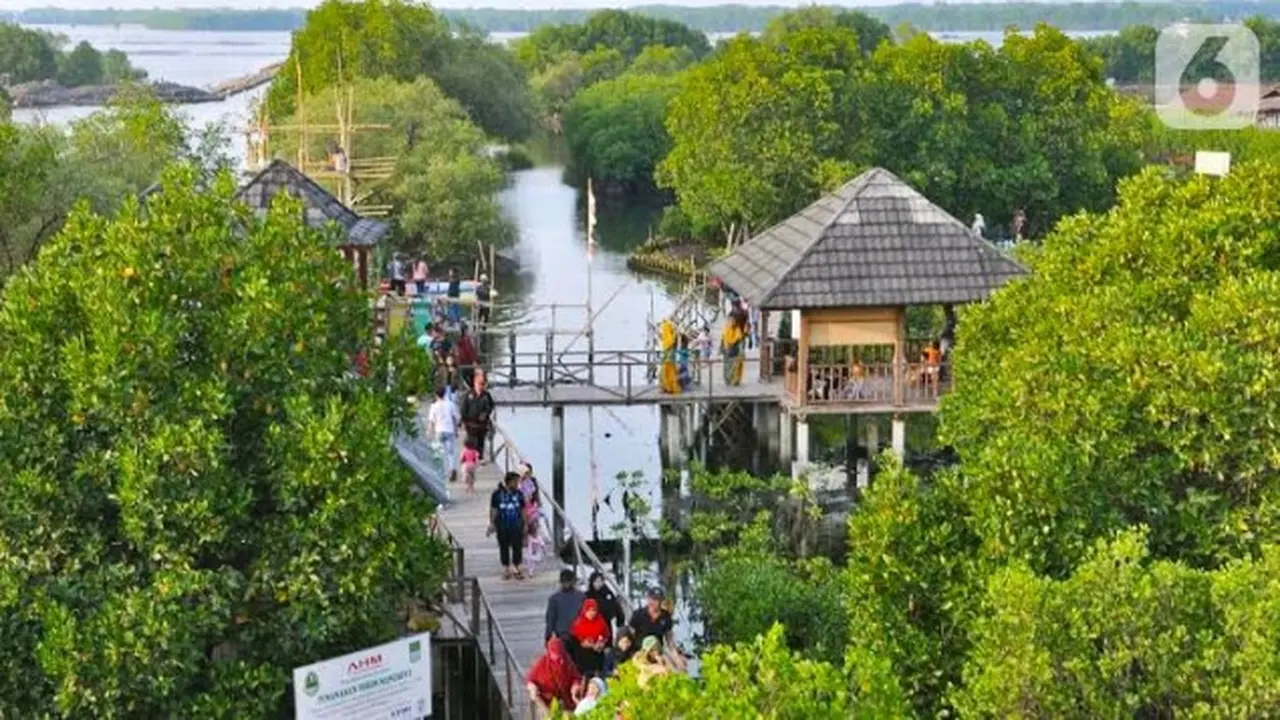 Objek wisata hutan mangrove yang kini mulai banyak menarik wisatawan.
