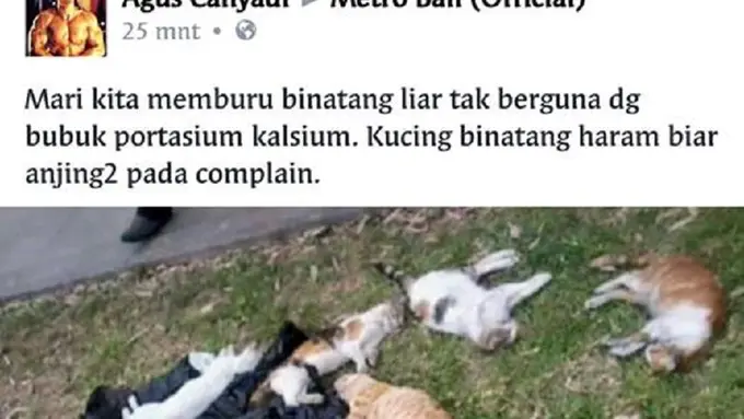 [Bintang] Pembunuh massal kucing