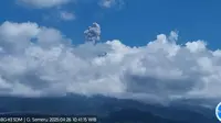 Gunung Semeru  erupsi 6 kali tinggi letusan 800 meter (Istimewa)