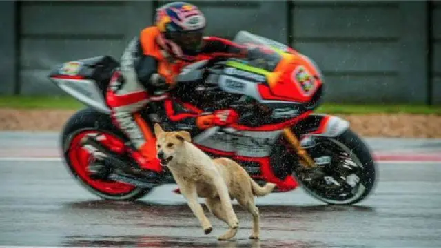 MotoGP