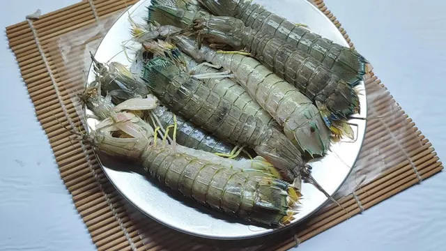 udang ronggeng