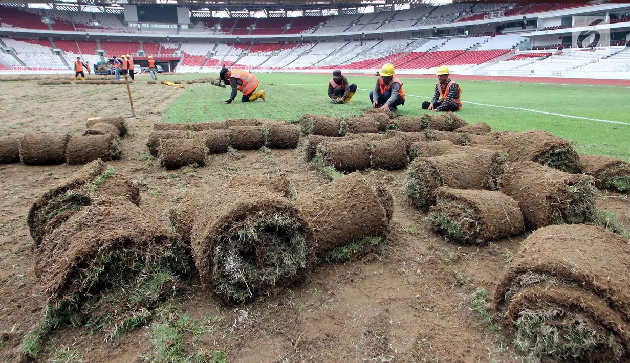 Pekerja menggulung rumput yang ada di Stadion Utama Gelora Bung Karno (SUGBK) untuk proses pemindahan ke area panahan, Jakarta, Jumat (18/5). Pemindahan ini sebagai bagian dari persiapan pembukaan Asian Games 2018. (Liputan6.com/Johan Tallo)