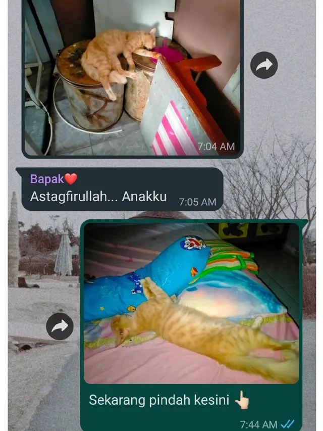 6 Obrolan Kocak Anak dan Orangtua di Grup WhatsApp Keluarga Ini Receh Banget