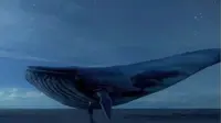 Tantangan paus biru
